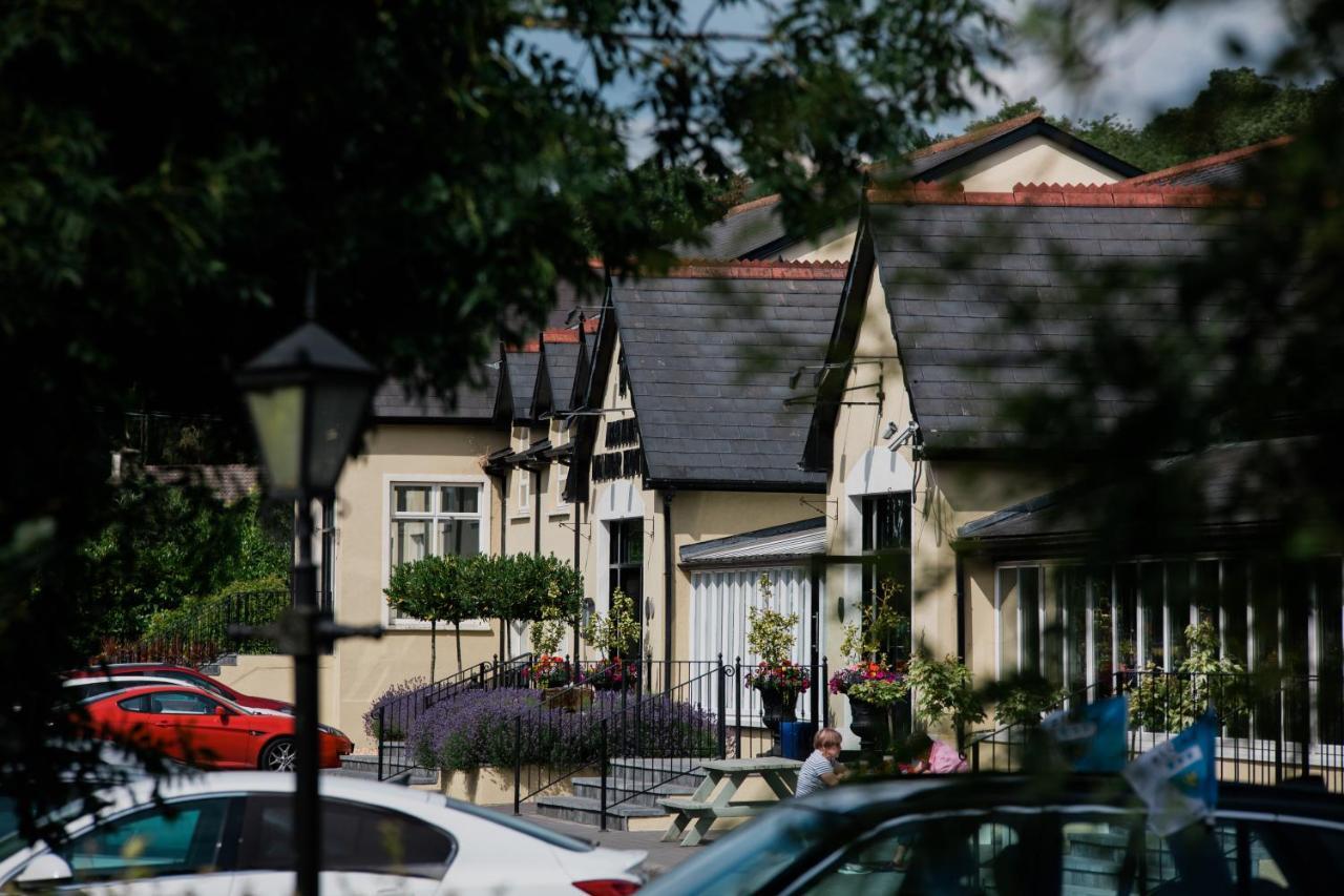 The Abbeyleix Manor Hotel Εξωτερικό φωτογραφία